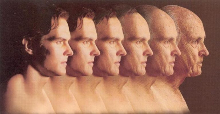 Evolución hombre